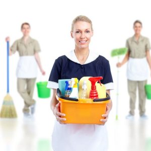 Domestic-Cleaning-Service